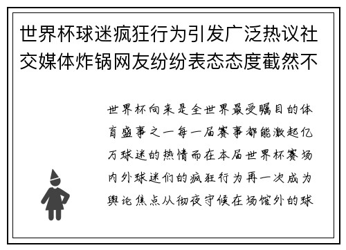 世界杯球迷疯狂行为引发广泛热议社交媒体炸锅网友纷纷表态态度截然不同 世界杯球迷疯狂行为引发广泛热议社交媒体炸锅网友纷纷表态态度截然不同